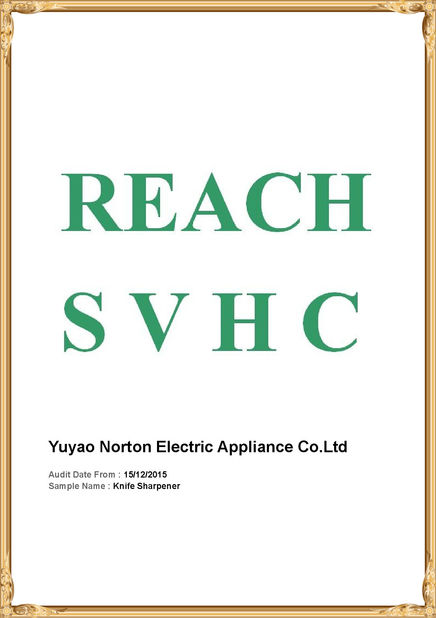 中国 Yuyao Norton Electric Appliance Co., Ltd. 認証